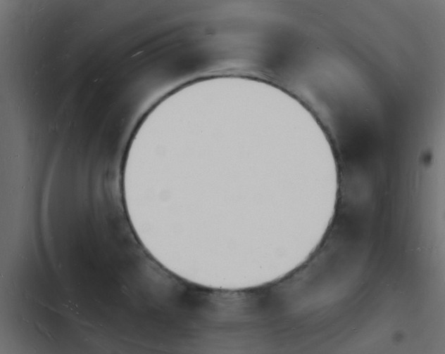 X0000103971336200809261825