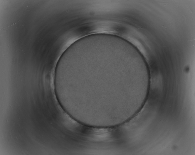 X0000103971338200809261825