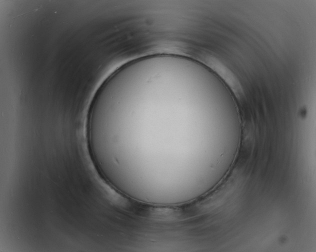 X0000103971339200809261825