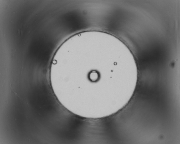 X0000103971340200809261825