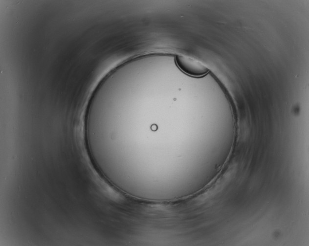 X0000103971341200809261825