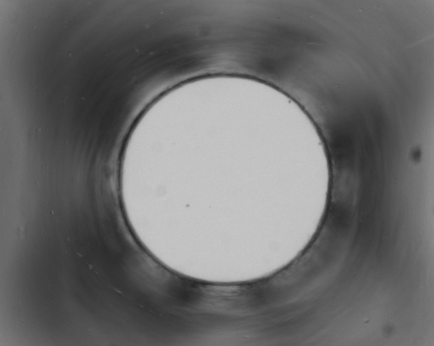 X0000103971342200809261825