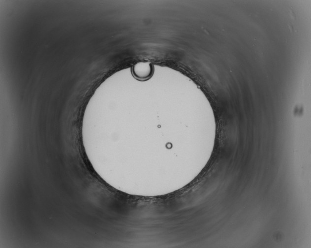 X0000103971345200809261825