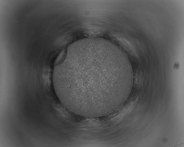 X0000103971346200809261825