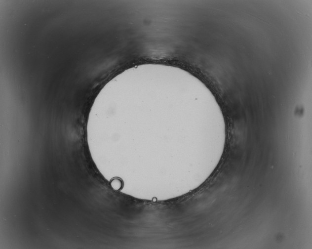 X0000103971349200809261825