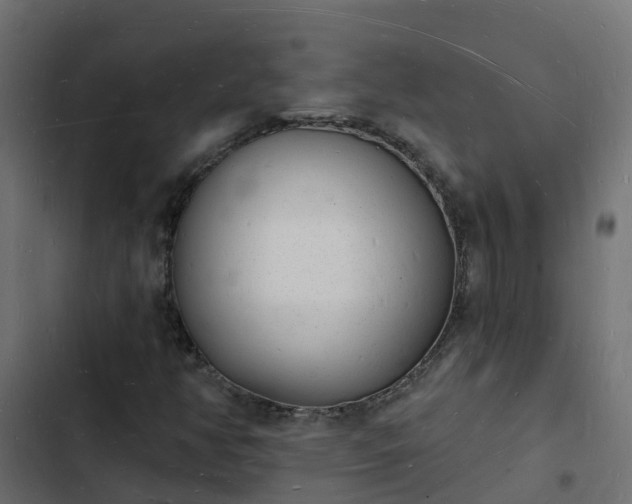 X0000103971350200809261825