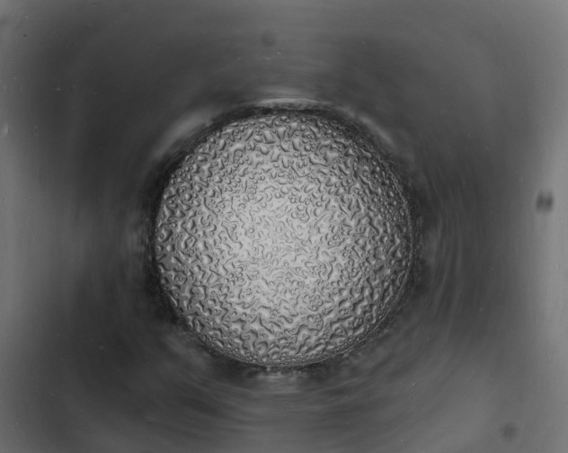 X0000103971351200809261825