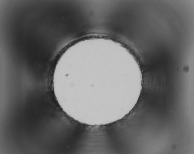 X0000103971352200809261825