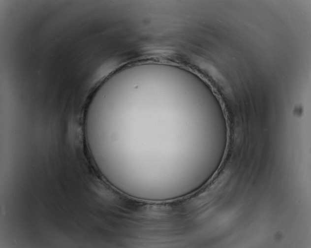 X0000103971354200809261825