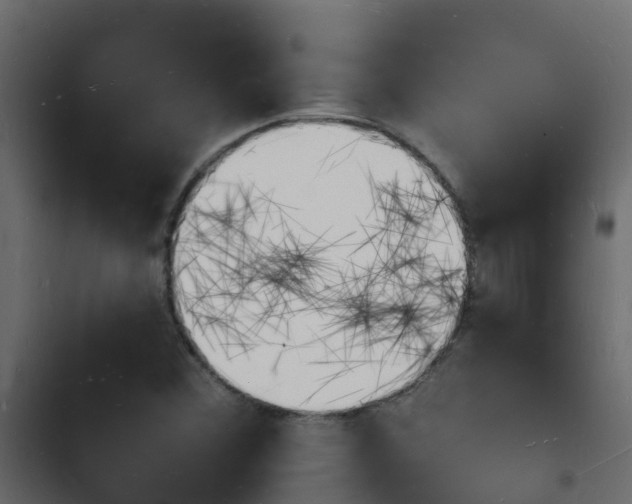 X0000103971356200809261825