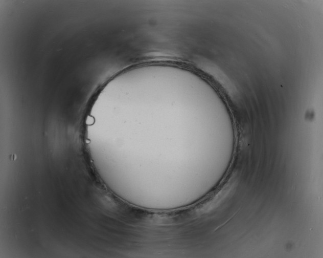 X0000103971357200809261825