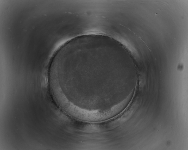 X0000103971358200809261825