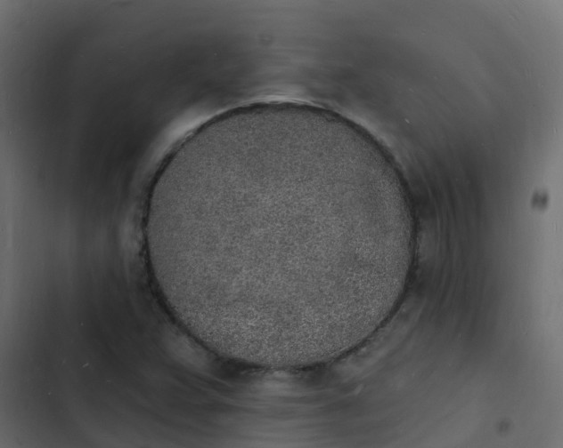 X0000103971359200809261825