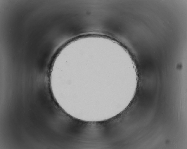 X0000103971360200809261825