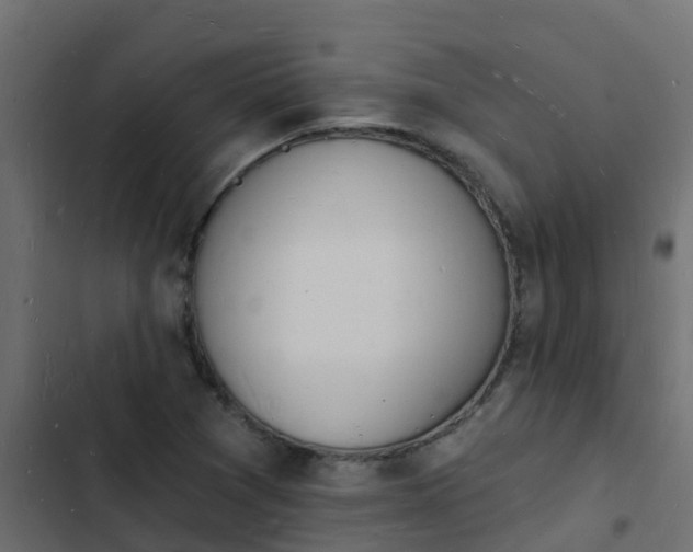 X0000103971361200809261824