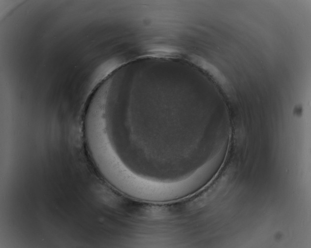 X0000103971362200809261824