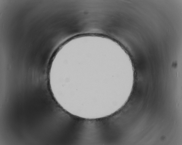 X0000103971364200809261824