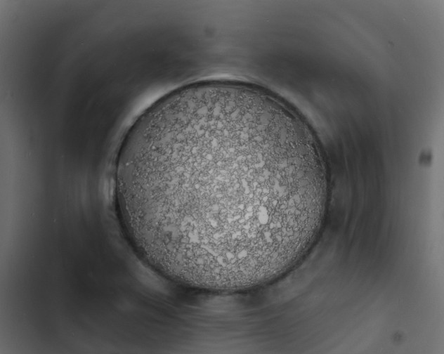 X0000103971367200809261824