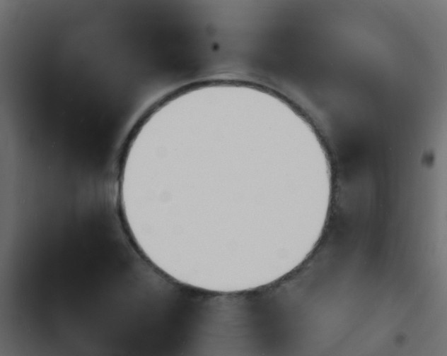 X0000103971368200809261824