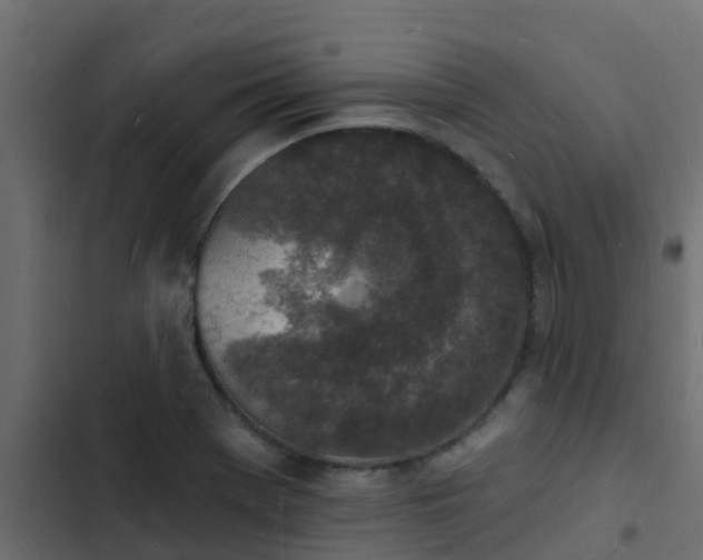 X0000103971369200809261824