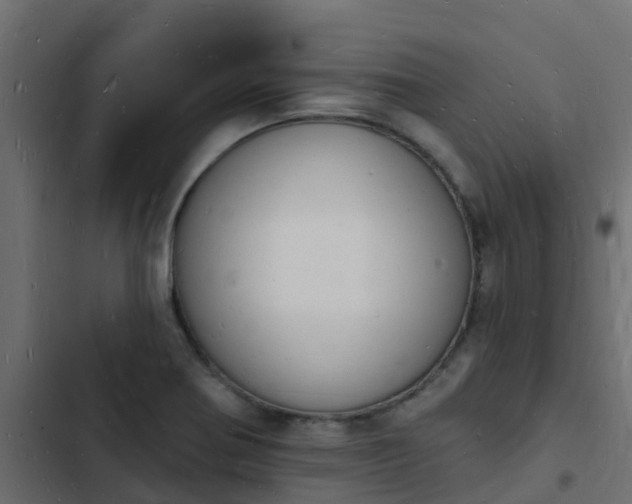 X0000103971370200809261824