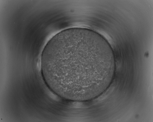 X0000103971371200809261824