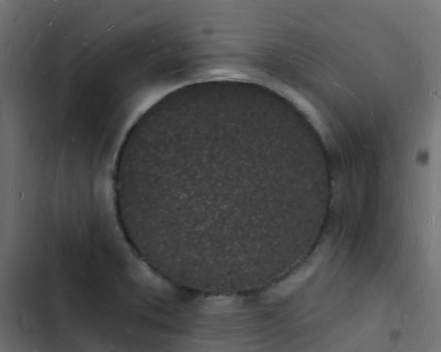 X0000103971373200809261824