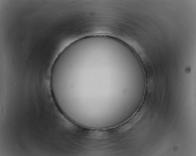 X0000103971374200809261824