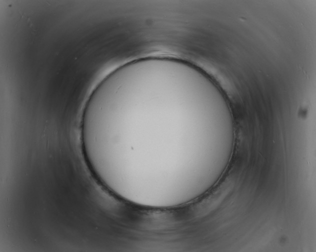 X0000103971375200809261824