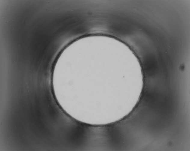 X0000103971376200809261824