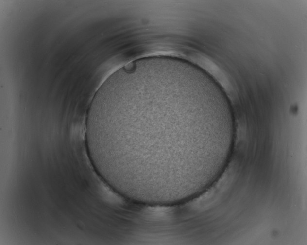 X0000103971377200809261824