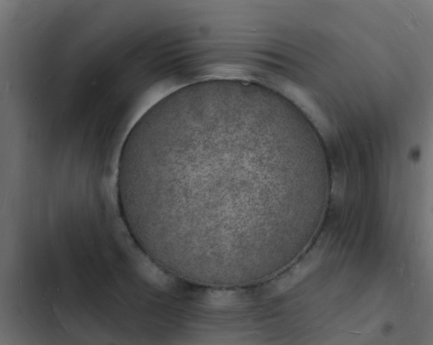 X0000103971378200809261824