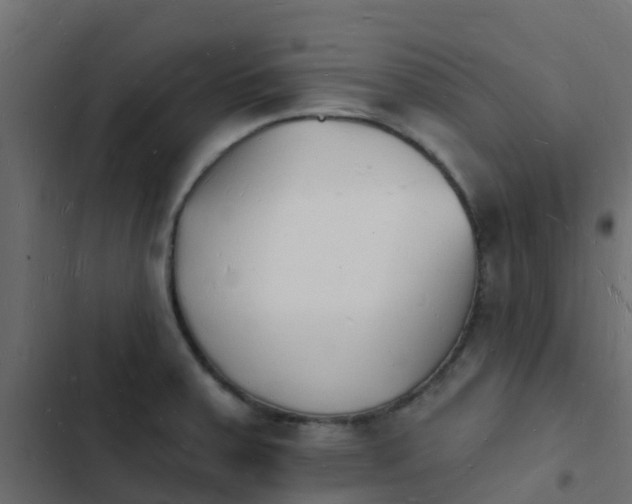 X0000103971379200809261824