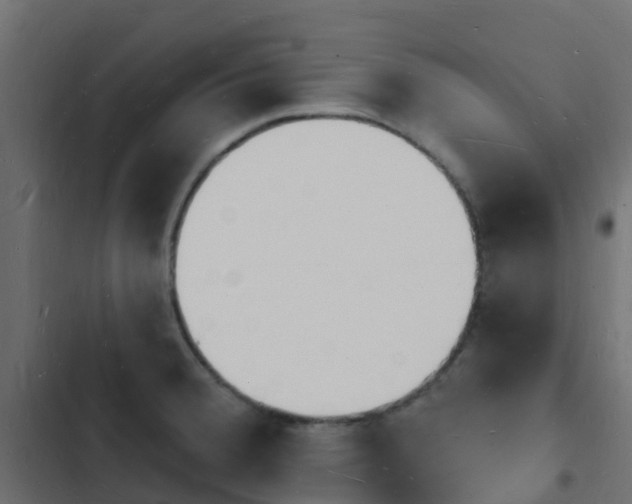 X0000103971380200809261824