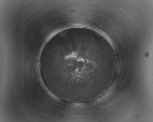 X0000103971381200809261824