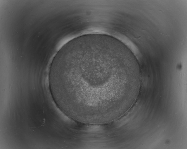 X0000103971382200809261824