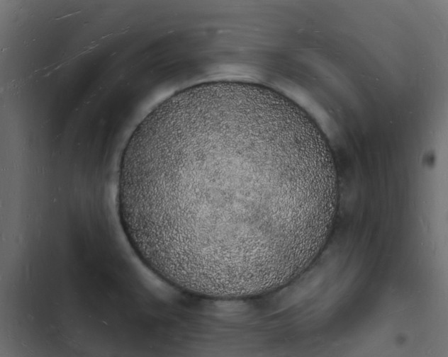 X0000103971383200809261824