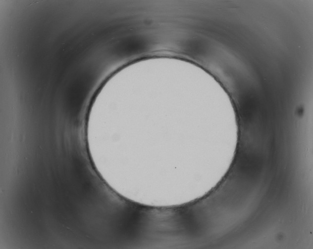 X0000103971384200809261824