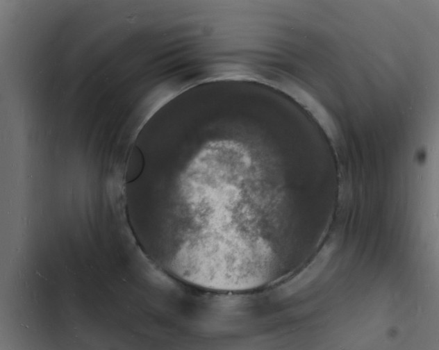 X0000103971385200809261824