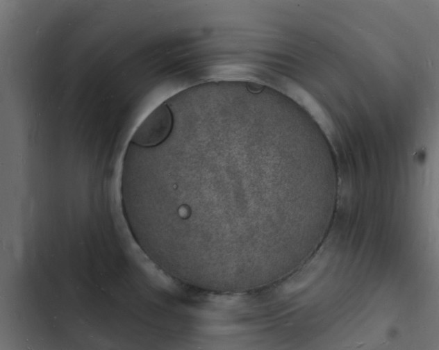 X0000103971386200809261824