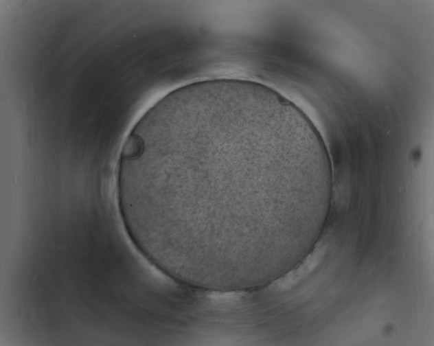 X0000103971389200809261824