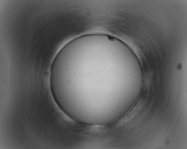 X0000103971390200809261824