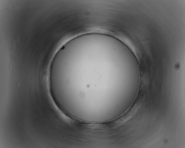 X0000103971391200809261824