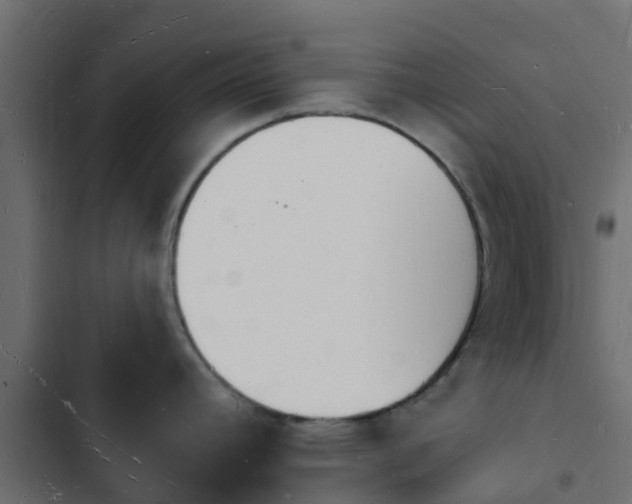 X0000103971392200809261824