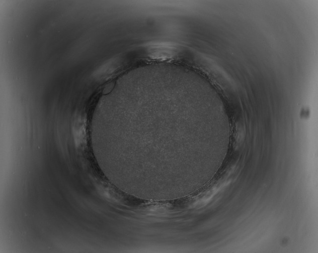 X0000103971394200809261823