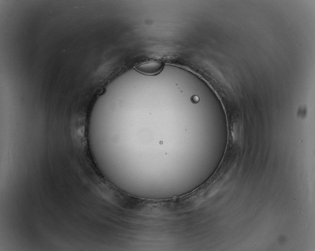 X0000103971396200809261823