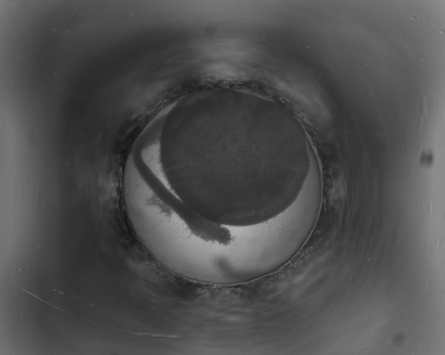 X0000103971397200809261823