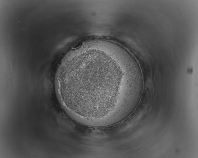 X0000103971398200809261823