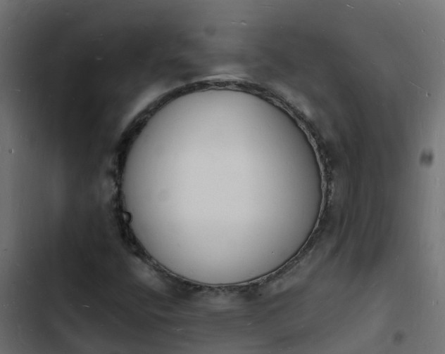 X0000103971400200809261823