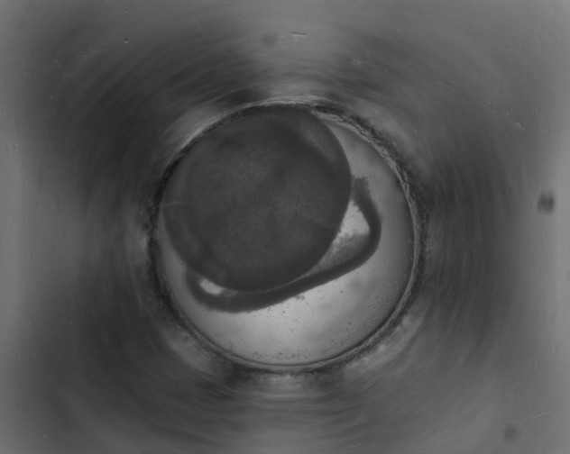 X0000103971401200809261823